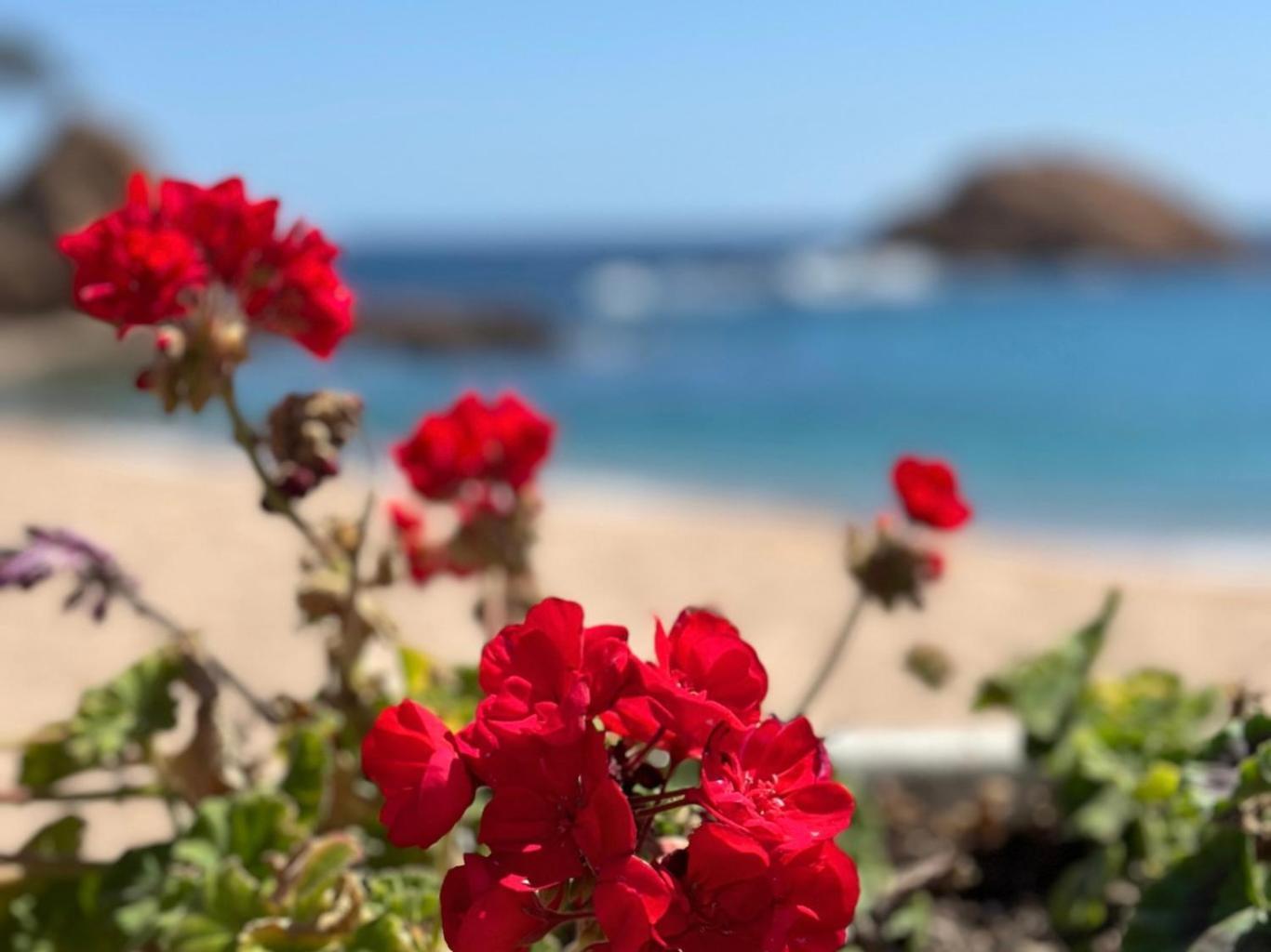 布拉内斯Atico Con Vistas Al Mar A Un Paso Del Centro公寓 外观 照片