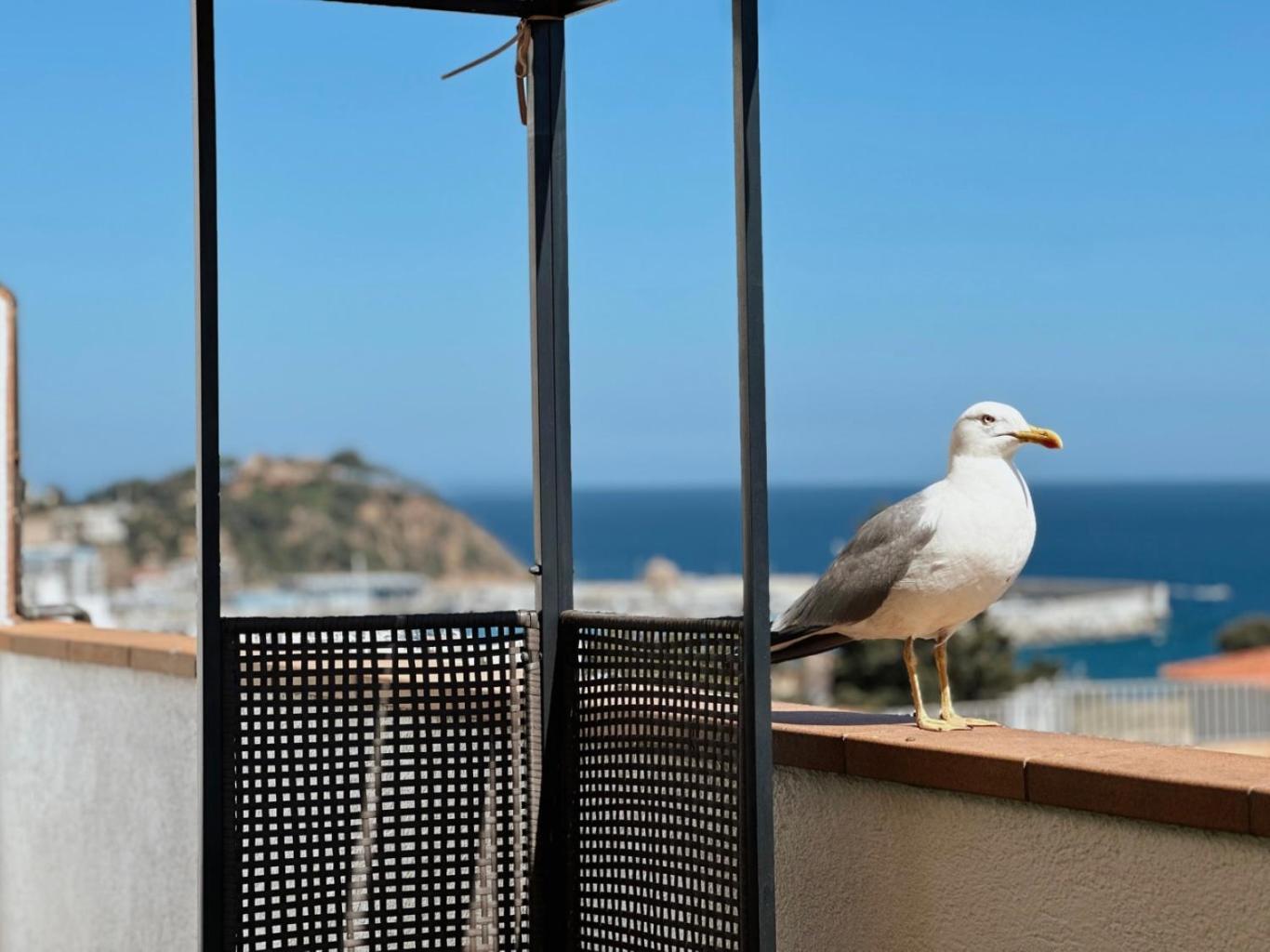 布拉内斯Atico Con Vistas Al Mar A Un Paso Del Centro公寓 外观 照片